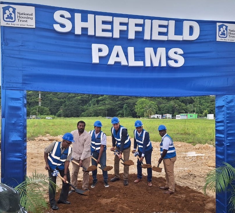 Sheffield Palms