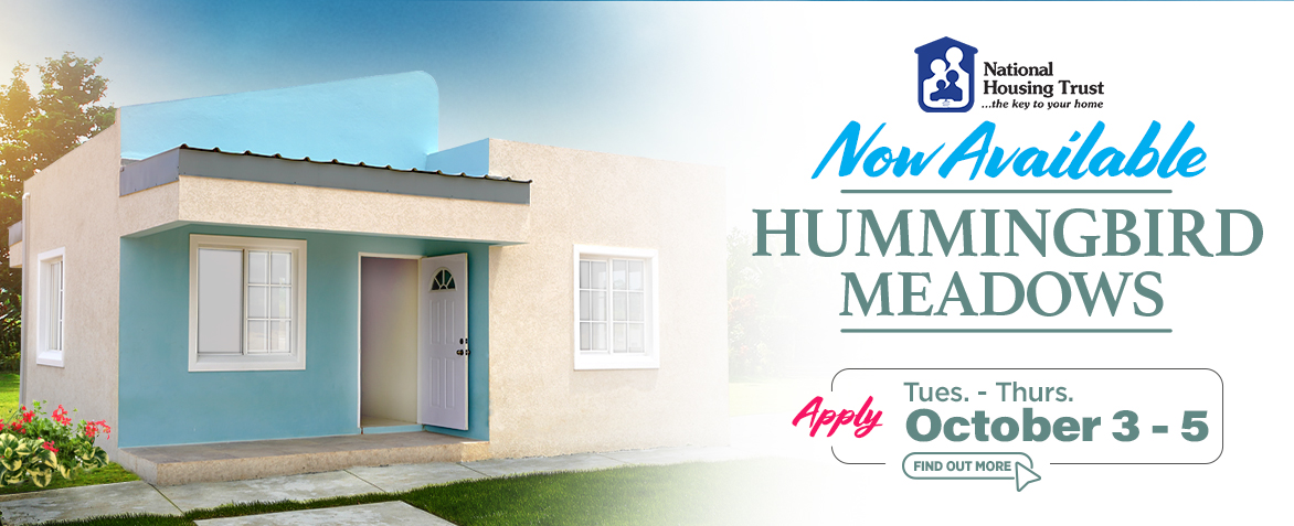 Hummingbird Meadows Page Banner