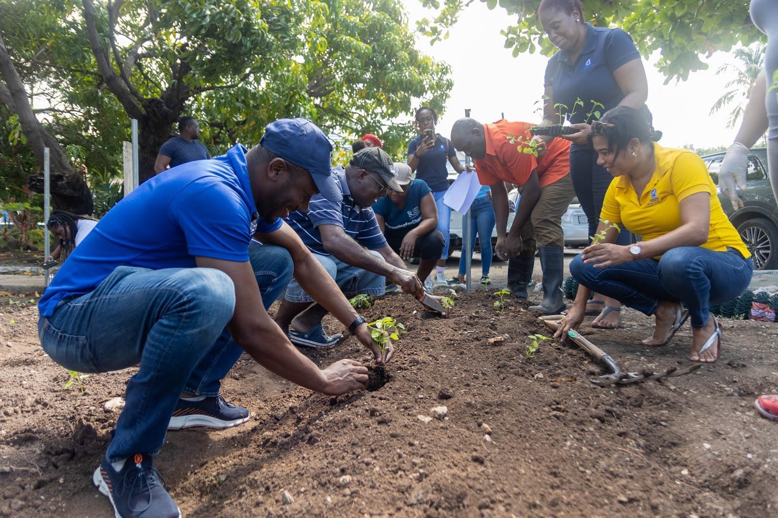 In alignment with this year’s theme volunteers got their hands dirty planting vegetation in the garden.