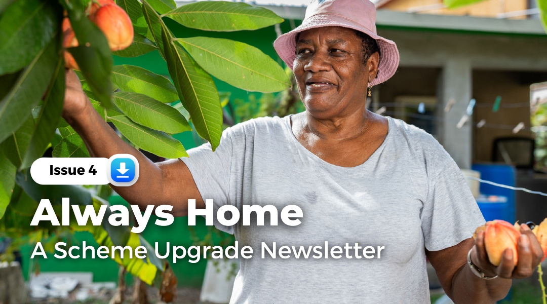 Always Home Issue 4